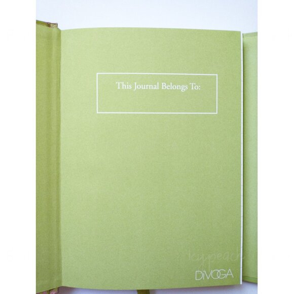 DiVOGA Magnetic Hardcover Journal Lined 5x7 NEW (FLAWS) Green Paisley Notebook - Picture 3 of 9